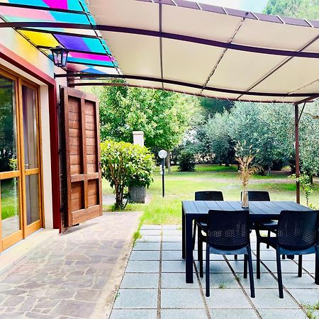 Agriturismo Salcino Grosseto Exterior photo