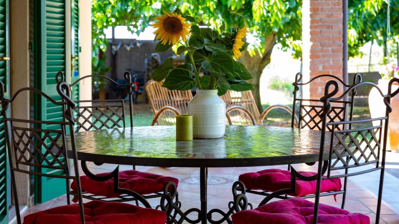 Agriturismo Salcino Grosseto Exterior photo