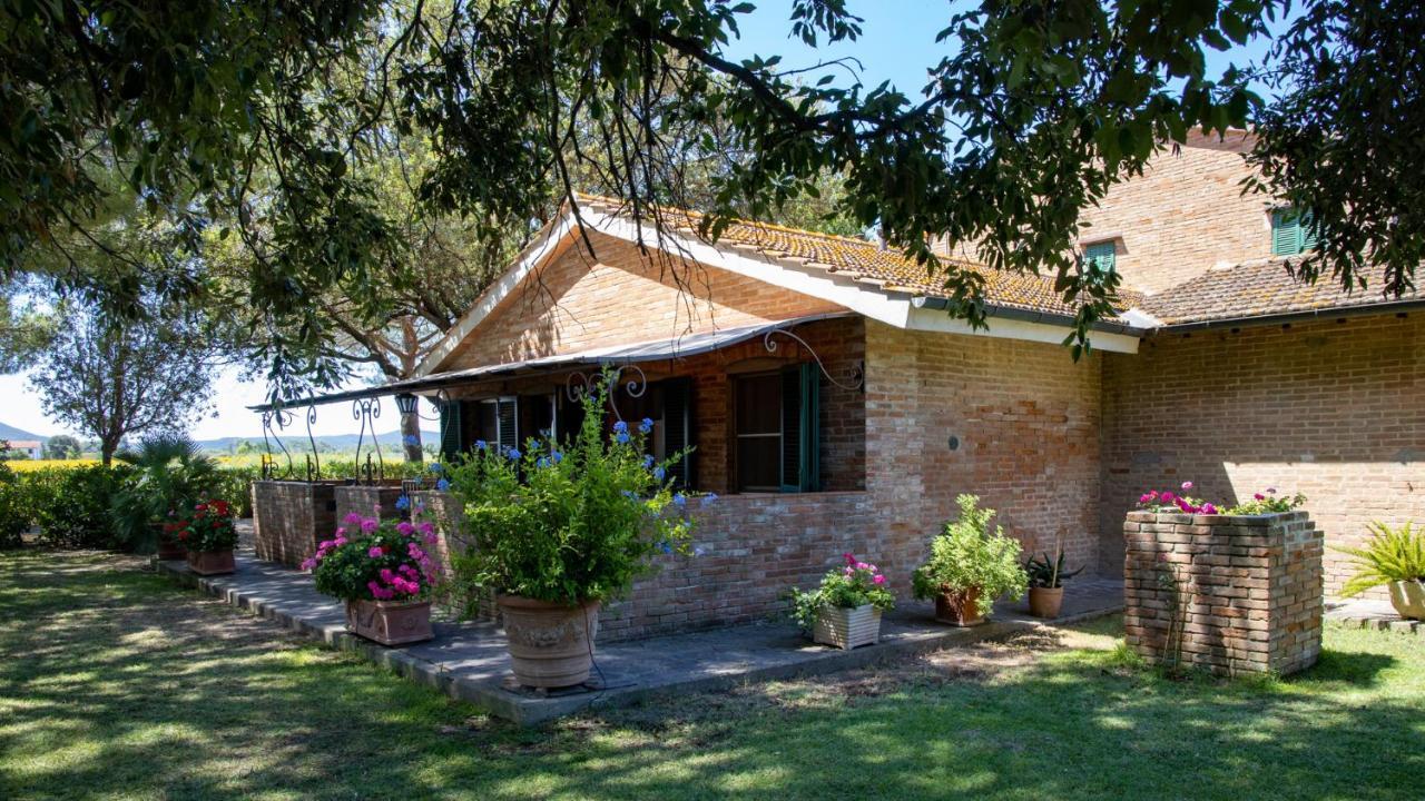 Agriturismo Salcino Grosseto Exterior photo