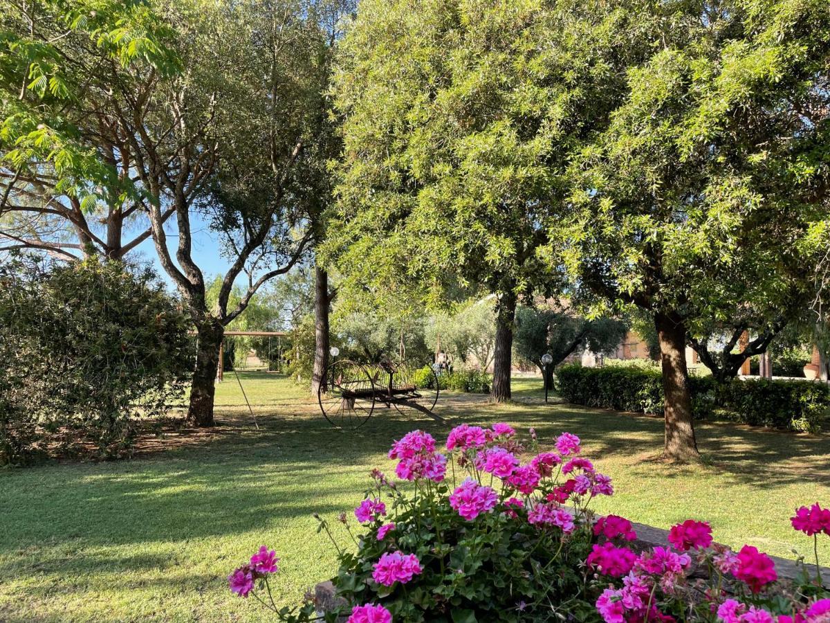 Agriturismo Salcino Grosseto Exterior photo