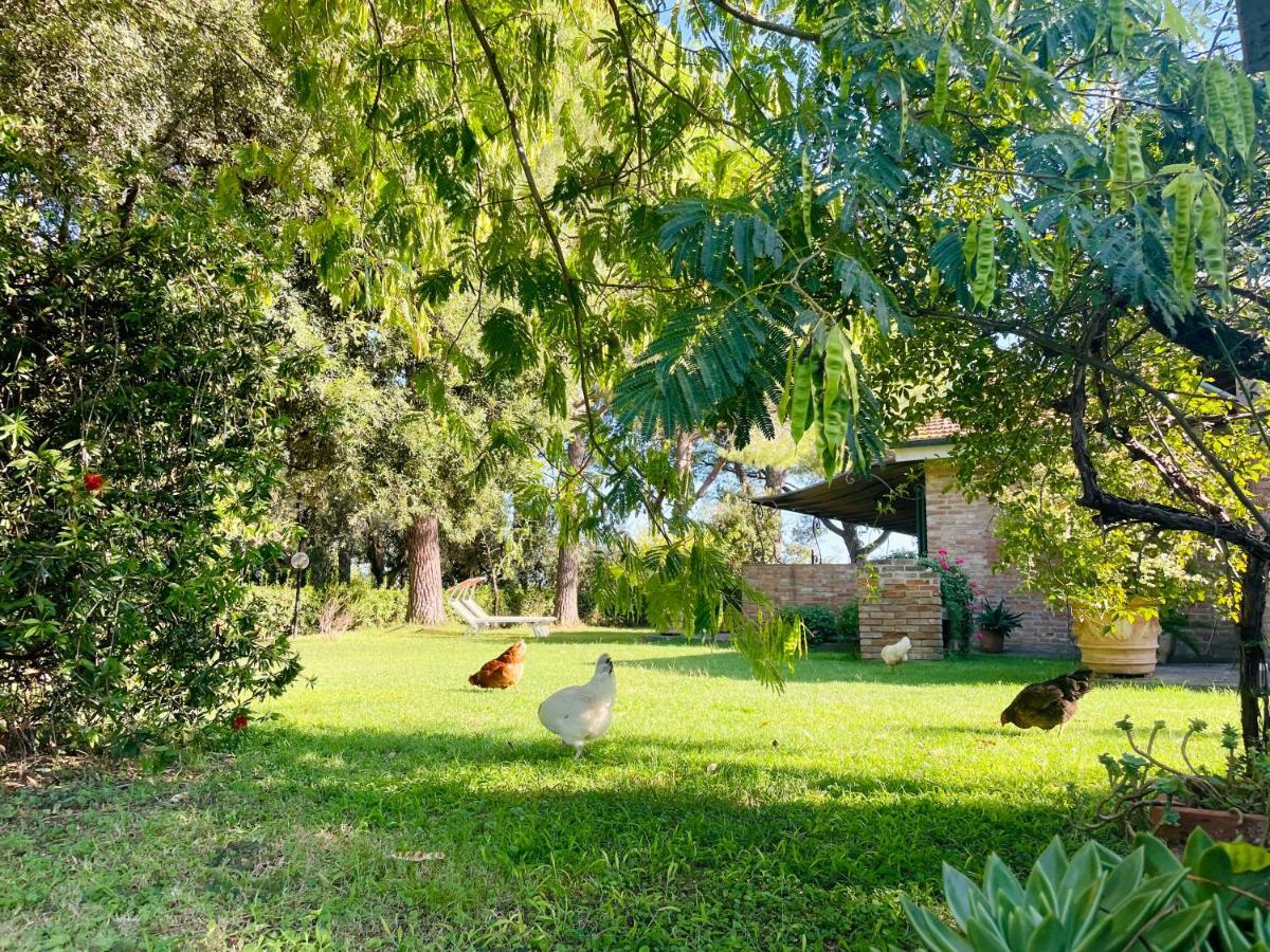 Agriturismo Salcino Grosseto Exterior photo